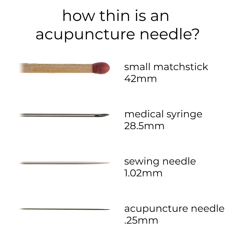 photo comparing needle thickness to familiar objects